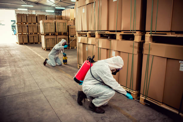Best Best Pest Control Companies  in Cocoa Beach, FL