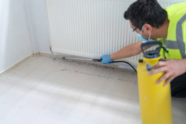Best Wasp Removal Services  in Cocoa Beach, FL