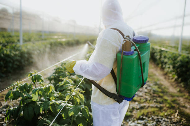 Trusted Cocoa Beach, FL Pest Control Experts